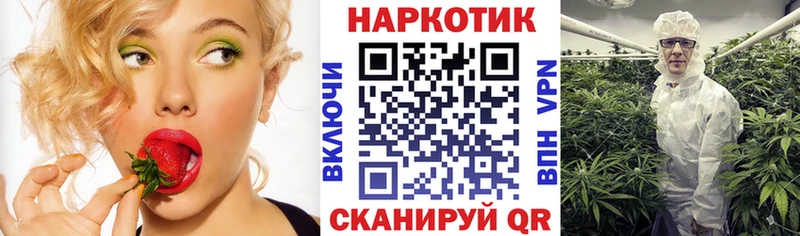 Купить закладку Бошки Шишки  Меф  Альфа ПВП  Гашиш  Плёс