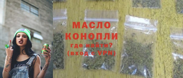 мдпв Богородицк