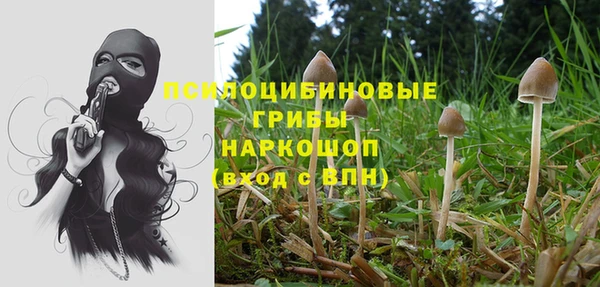 молекула духа Беломорск