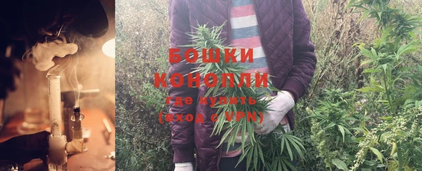 молекула духа Беломорск