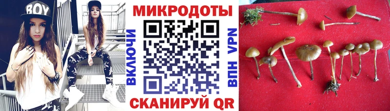 Купить где  Плёс  Псилоцибиновые грибы Cubensis 